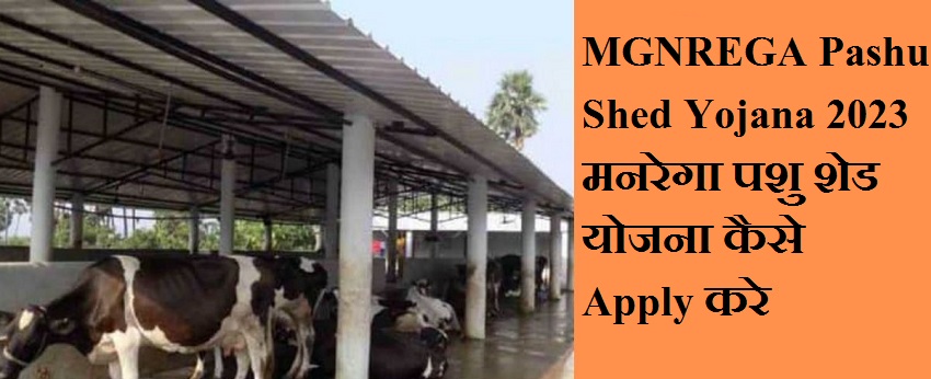 MGNREGA Pashu Shed Yojana 2023: मनरेगा पशु शेड योजना कैसे Apply करे