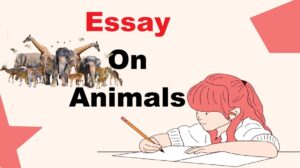 english-essay-on-animals