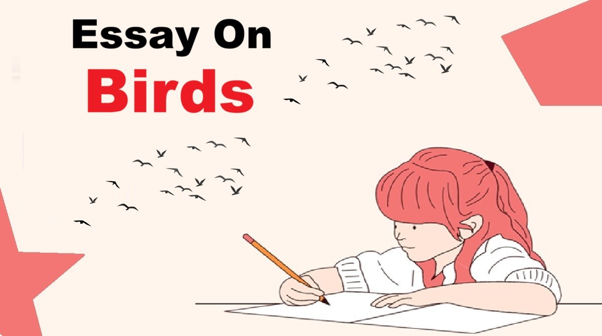 Essay On Birds [500+ Words]