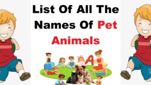 english-pet-animals-name